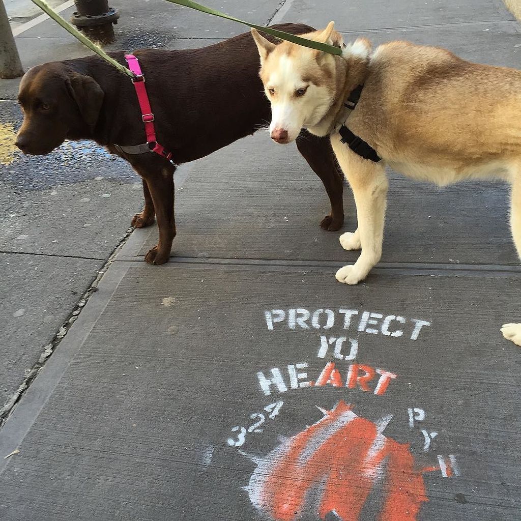 StArtEverywhere's tweet image. We LOVE seeing new stuff!! #PYH #ProtectYoHeartSeason💪 #423 #UnCasso #UnCuttArt #StreetArt #StreetArtNYC #FiDi by l…