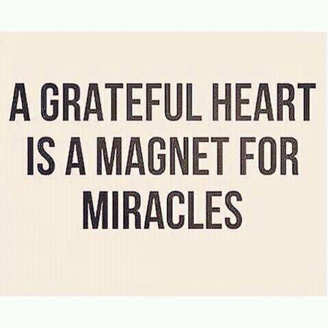 mostlyreverend's tweet image. 