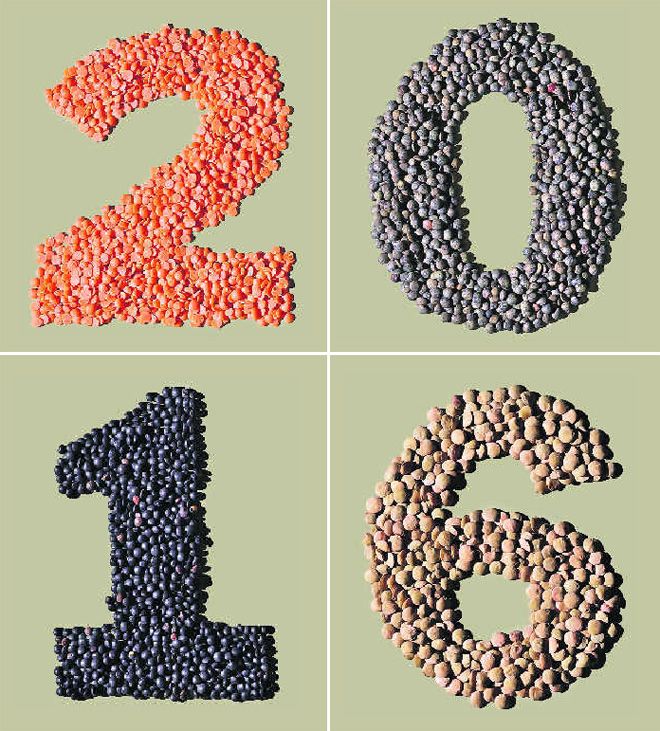 Eatosophy's tweet photo. We say YES to #lentils (especially #organic ones): Ideas for cooking with lentils in 2016 https://t.co/hc2PEwVe6e https://t.co/5baoV9Bfzb