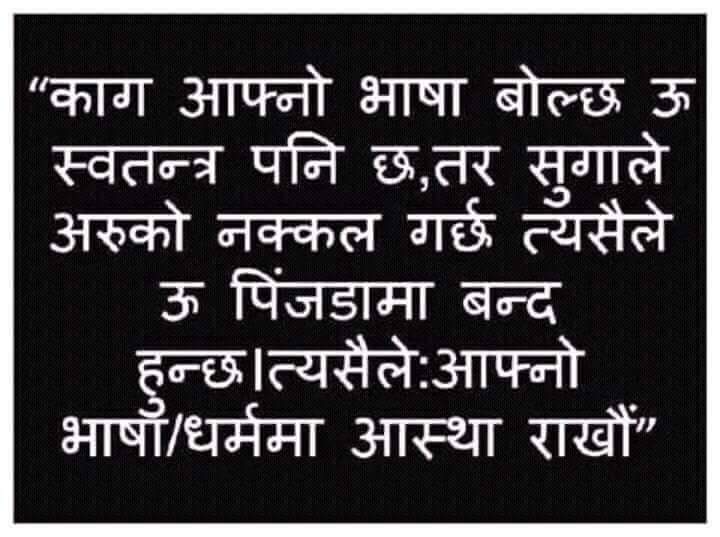 DarlingHima's tweet photo. #Buddha_Was_Born_In_Nepal
#BackOffEUfromNepal
#BackOffGoogle
#backoffindia https://t.co/LmIMg4e9wE