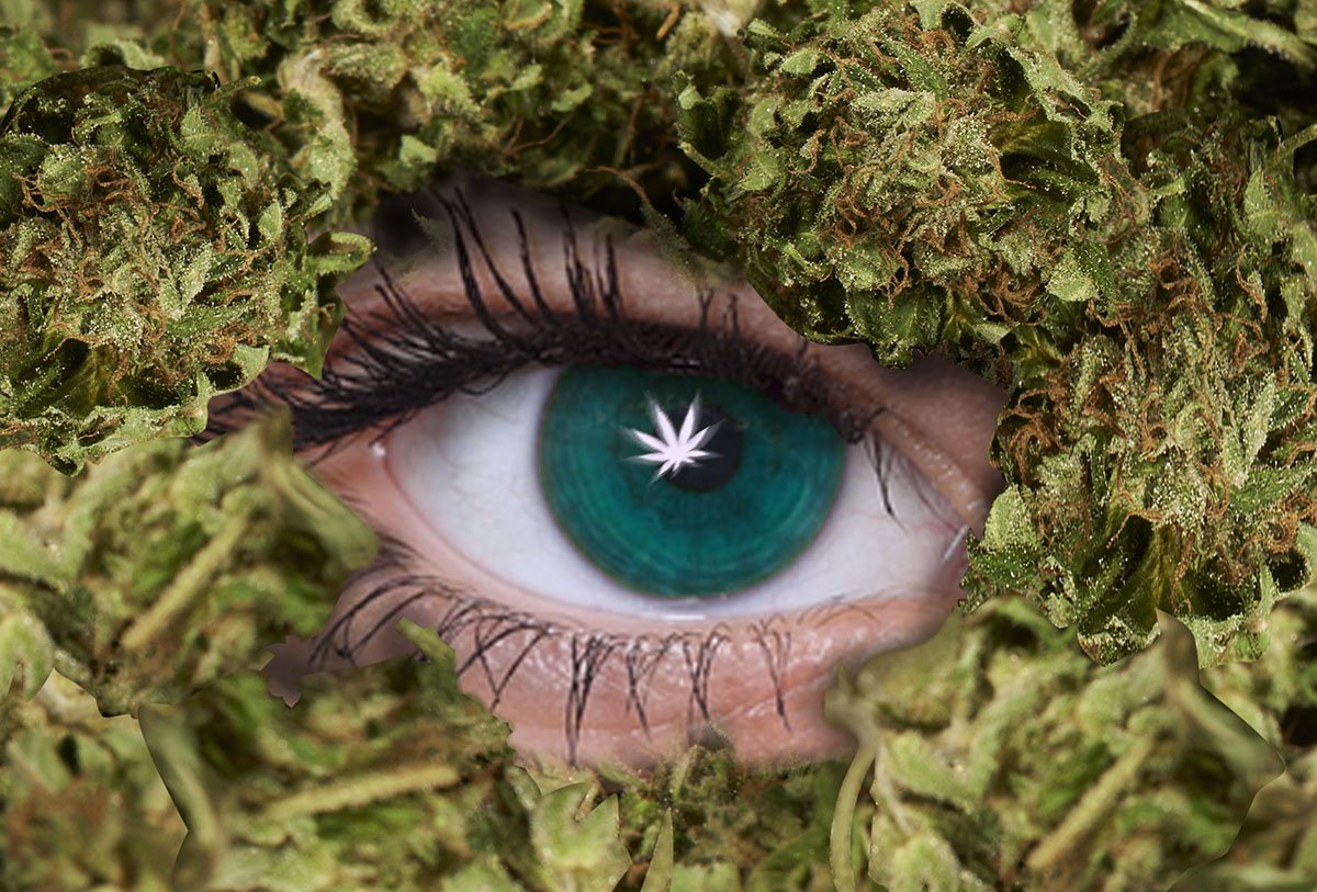 dankcreative's tweet photo. Good to SEE new connections @iBlowwKUSH_ @MichiganHemp @PSILabs @tavilabrado #cannabis #keepitgrowing &amp; Be Well https://t.co/kTwsyiQj3j