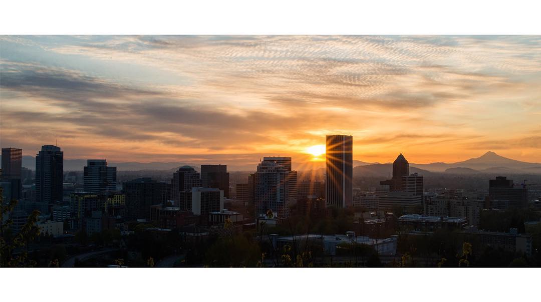 Portland Jobs tweet media