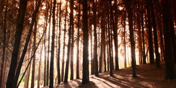 "Balazo", el nuevo single de <a href="/wentru/">Wentru</a> en exclusiva.
teoriapop.com/balazo/