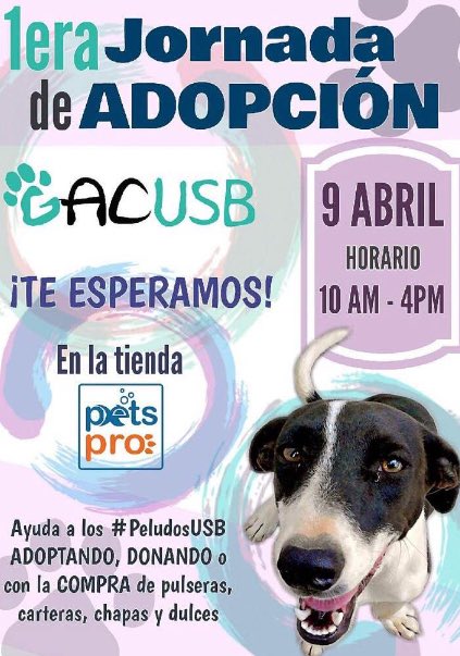 PetsProVe's tweet photo. Este Sábado, acompáñanos en la 1ra Jornada de adopción de #ACUSB. Los esperamos. #Adopta https://t.co/EekKRcVJ7g