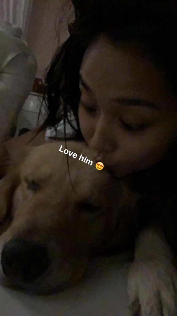 bernardokath's tweet photo. My gosh this dog.. 😍 😌 https://t.co/ln7Y9C307e