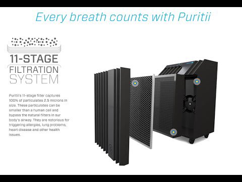Puritii 2024 air filter