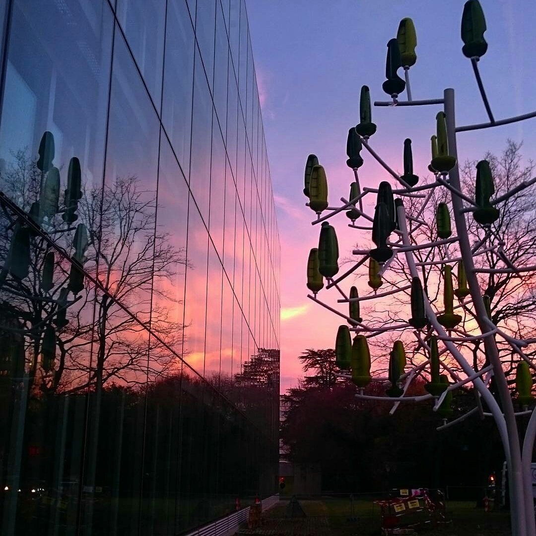 New_World_Wind's tweet photo. L Arbre à Vent planté à Genève @up_conferences sur le #biometisme https://t.co/jhO79HoMoE