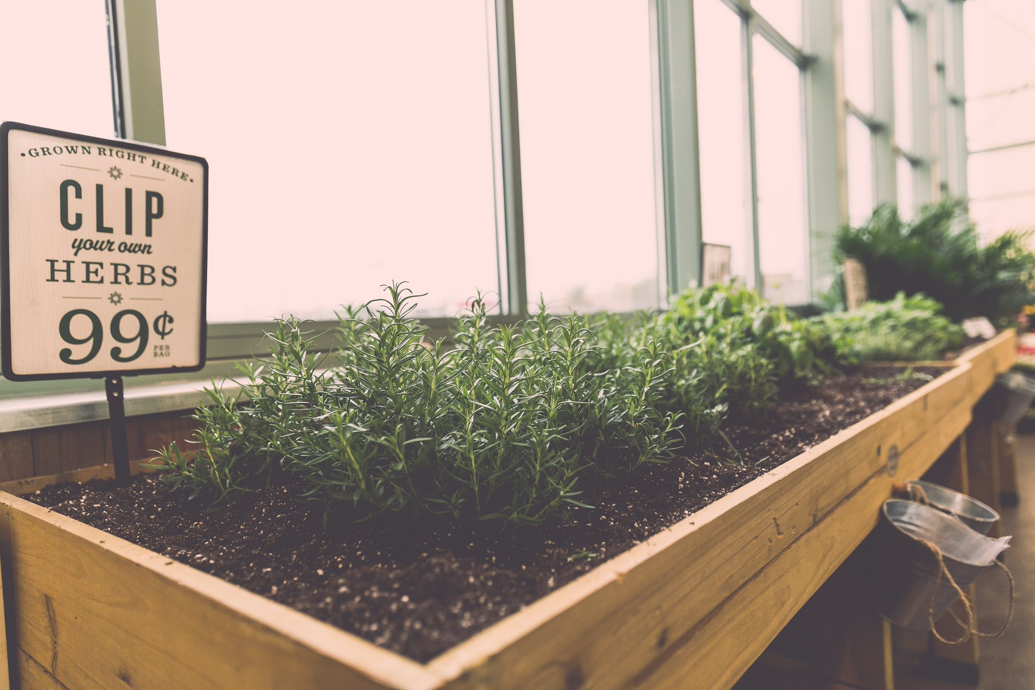 Lowes Foods on Twitter "Did you know that at the front of our stores