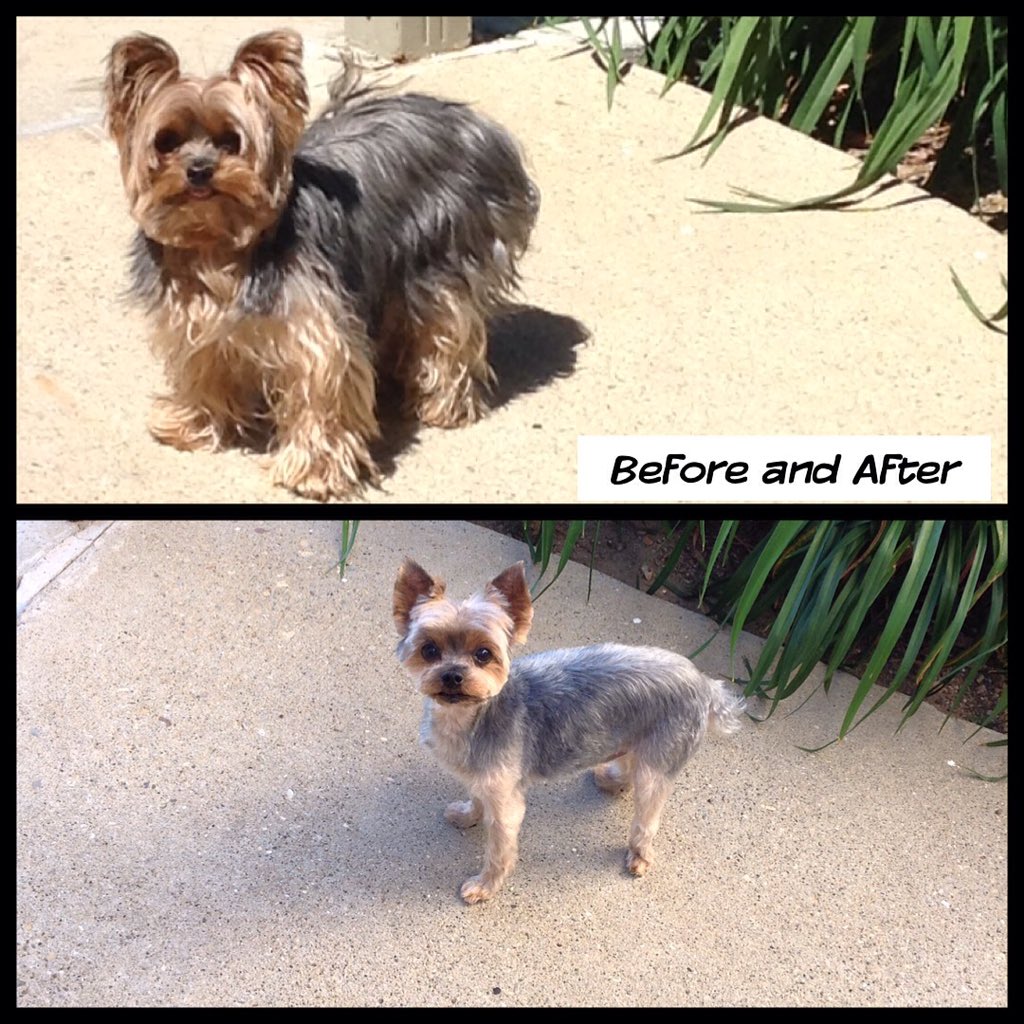 TERRIE (@affexs) on Twitter photo 