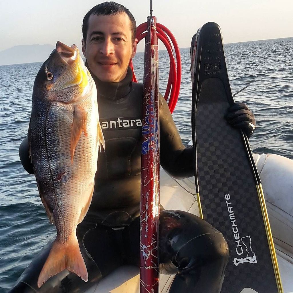 ParadiseCoveStt's tweet photo. sezerkovalak shares: #spearfishing #spearo #freediving #dentex #reddracula #sinagrida #bleutec #raptor #checkmate #… https://t.co/1b08Jy9rKO