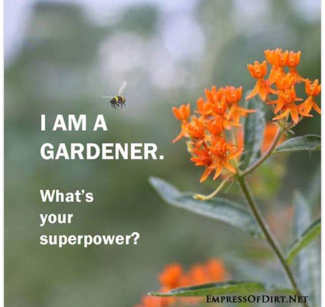 For super blooms and veg fit for a hero, try Garden Trust® fertilizer - it's controlled release formula feeds gently