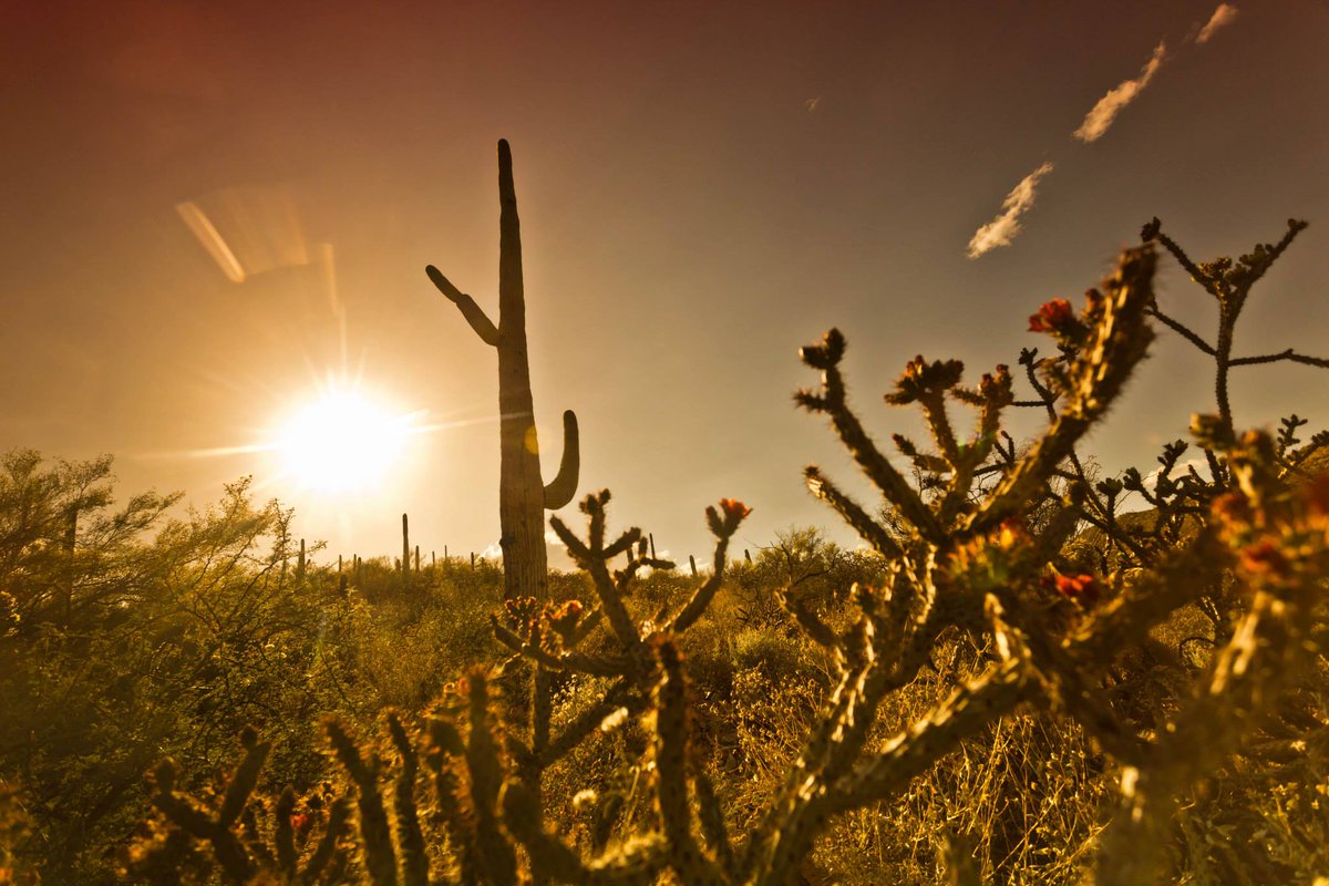 Our <a href="/DstnThink/">Destination Think</a> team is in Tucson, gearing up for #svsummit16. Here's tomorrow's program: ow.ly/10cpEH