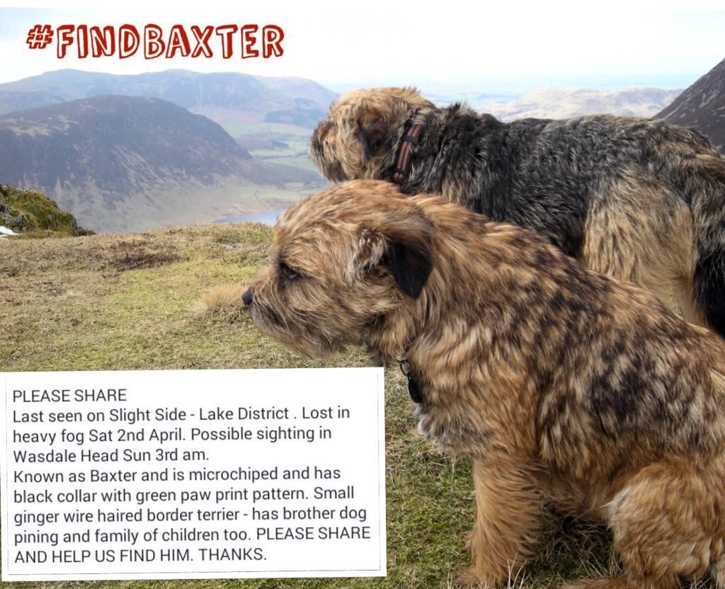 ScrappyN's tweet photo. https://t.co/I2jCmvhTDh @StanleyBorder @BTslostfound #FindBaxter a BT pal missing in the Lake District #BTPosse https://t.co/Qj2helzcea
