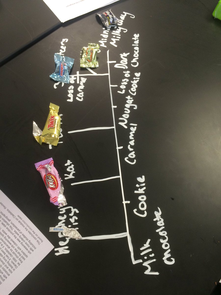 raegana_lhs's tweet photo. @msstern_lhs https://t.co/zu5hGFjfbL