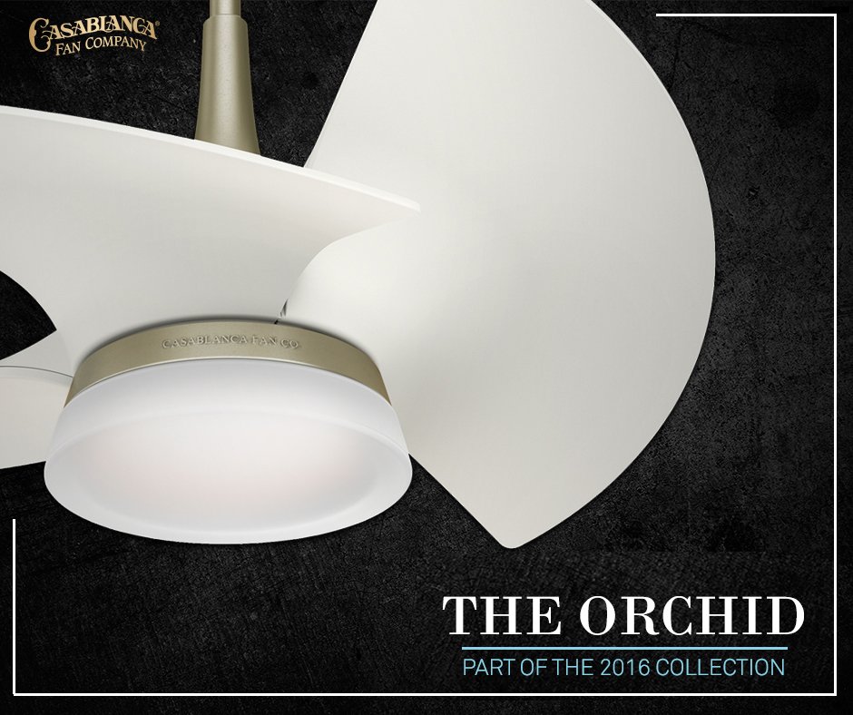 Casablanca Fan Co On Twitter Introducing The Casablanca Orchid