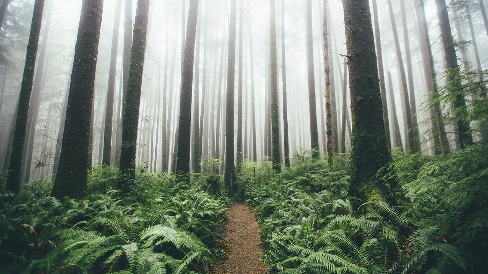 ThePNW's tweet photo. PHOTOS: Capturing Nature and Adventure in the Pacific Northwest https://t.co/iETnBu6lGp via @weatherchannel https://t.co/uSPzfmmw3a