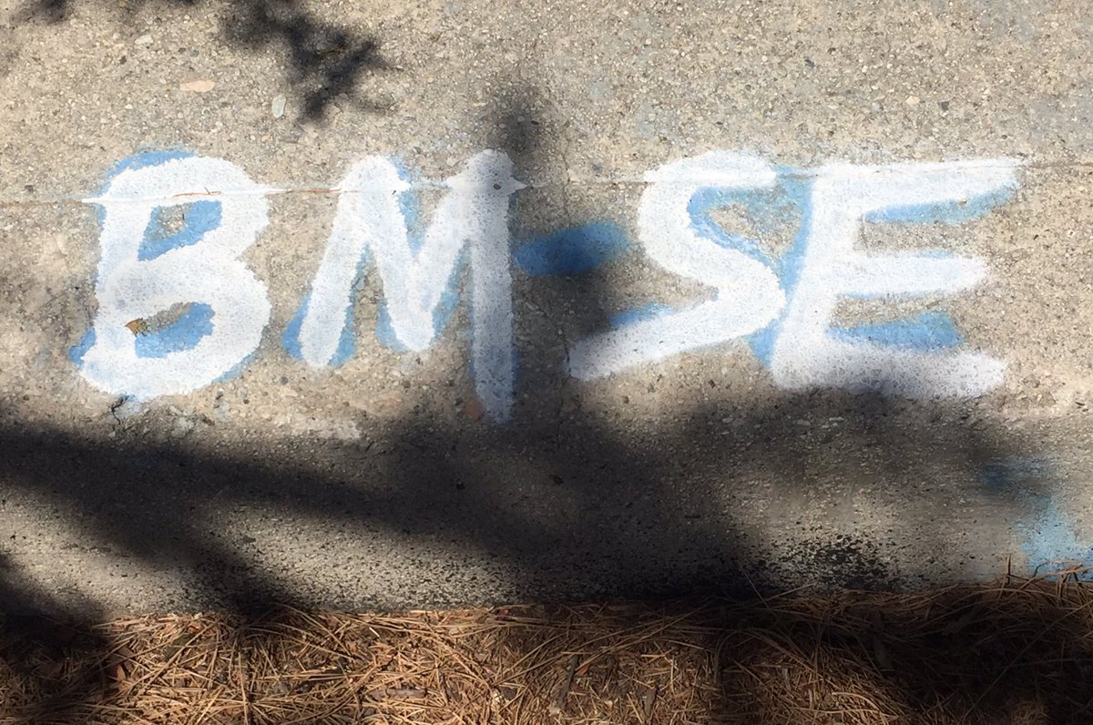 BMSPod's tweet photo. #beermilkshake fan graffiti spotted in Los Angeles. Not sure what the "E" is for. I assume "Everyone" #BMSeveryone https://t.co/7wVXtmKGKZ