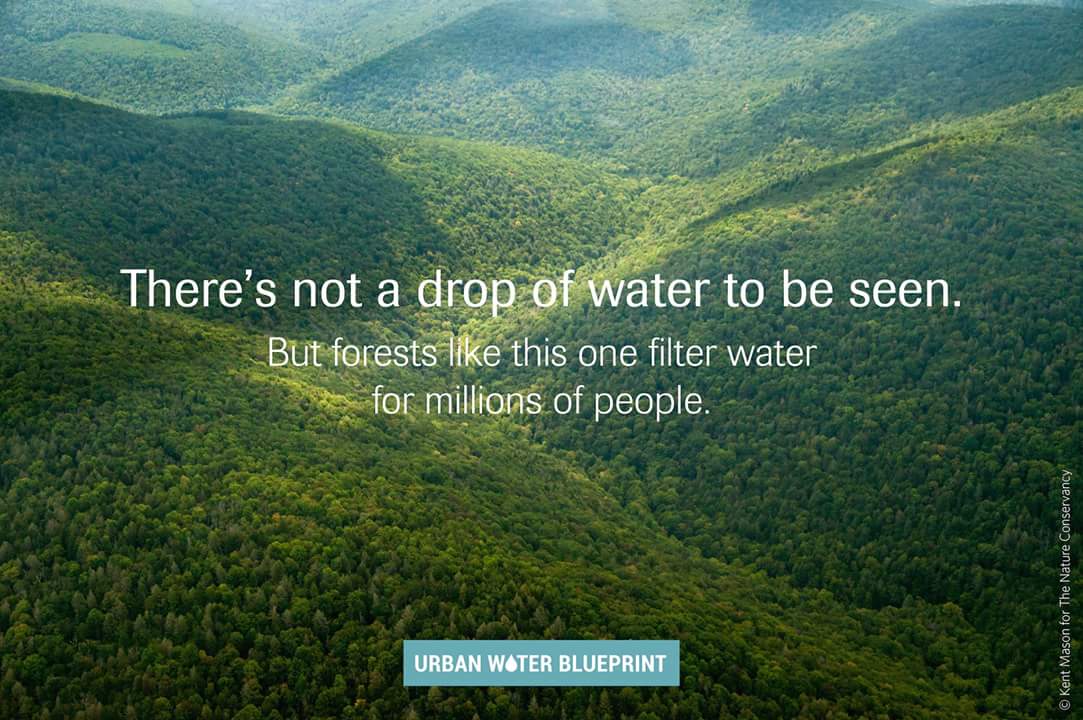 OliviaTMeyer's tweet photo. #WaterIsLife https://t.co/mZaia9Ju7z
