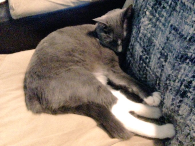 #pussy 💋 https://t.co/1Y69tZipDr<a href="/tag/pussy"class="tags">#pussy</a>