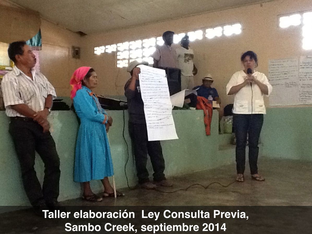 ofraneh's tweet photo. Observatorio  Pueblos Indígenas Honduras introdujo Ley Consulta Previa en Congreso Nacional https://t.co/qfpmnDscsY https://t.co/Pmc4aYvYsX