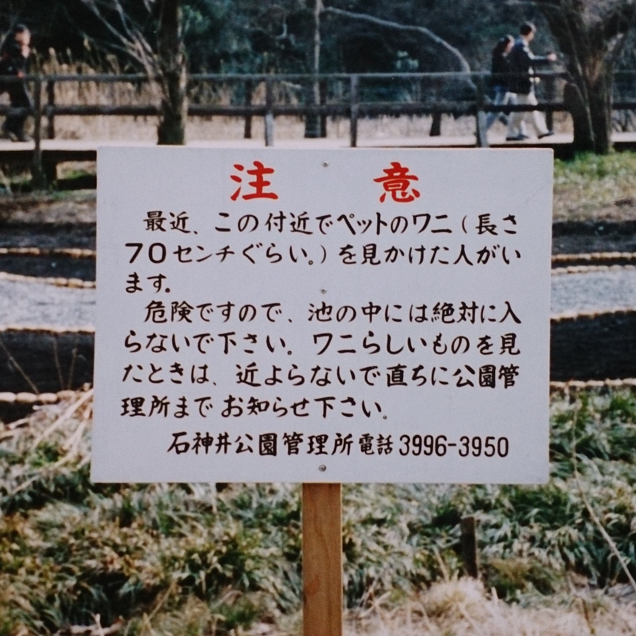 Honda So 8月末新刊 暗渠でたどる東京案内 出ました 1993年 石神井公園の三宝寺池 にワニが出たという噂が広まった マスコミにも随分とりあげられ とり みきのマンガのネタにもなった 写真は94年春 池の側にたてられた注意看板 結局ワニは見付から