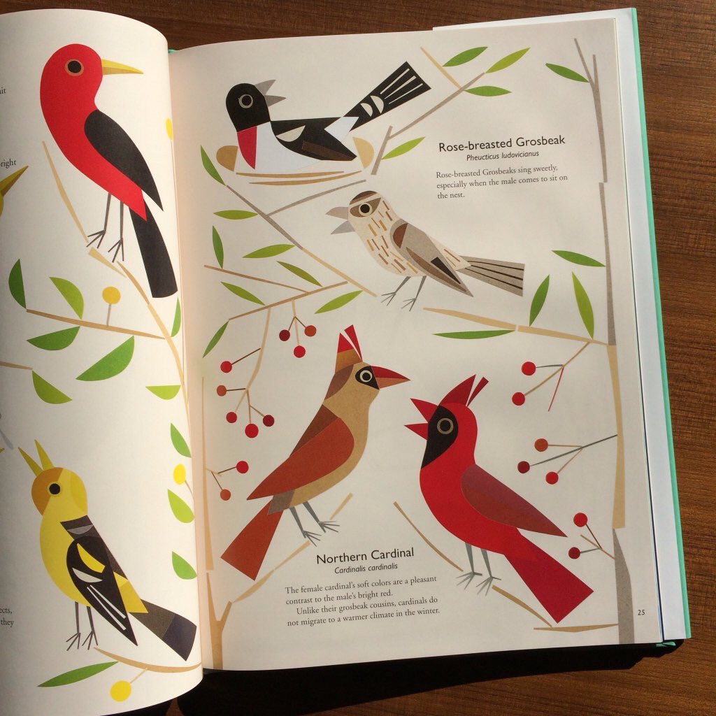 Happy publication day (US) to 'My Book Of Birds' by #GeraldoValério via @GroundwoodBooks