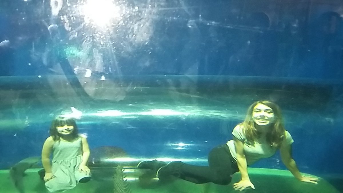 feemariee's tweet photo. @RipleysAquaCA thank you for showing our #famjam such a good time! Went two times in 3 days. CANT WAIT to come back https://t.co/hvdzEfh6Tf