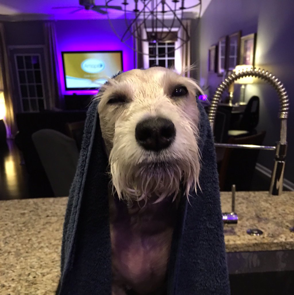 damiandunne's tweet photo. @ClintFalin that looks like a 'smise' to me #BathTimeIsFunTime https://t.co/k50SgGpHiD