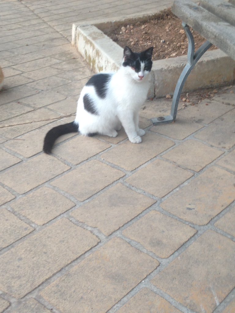 Alessia Rigano On Twitter La Civiltà Di Un Popolo Si