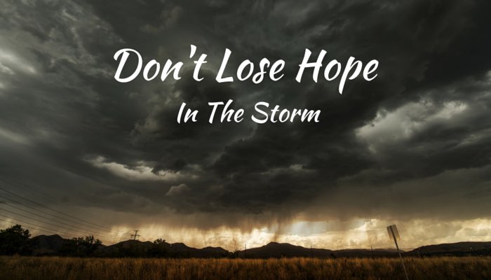 Mattis don't lose hope. Don t be lost. Don't lose your way. Im lost control. Afraid to do или afraid of doing.
