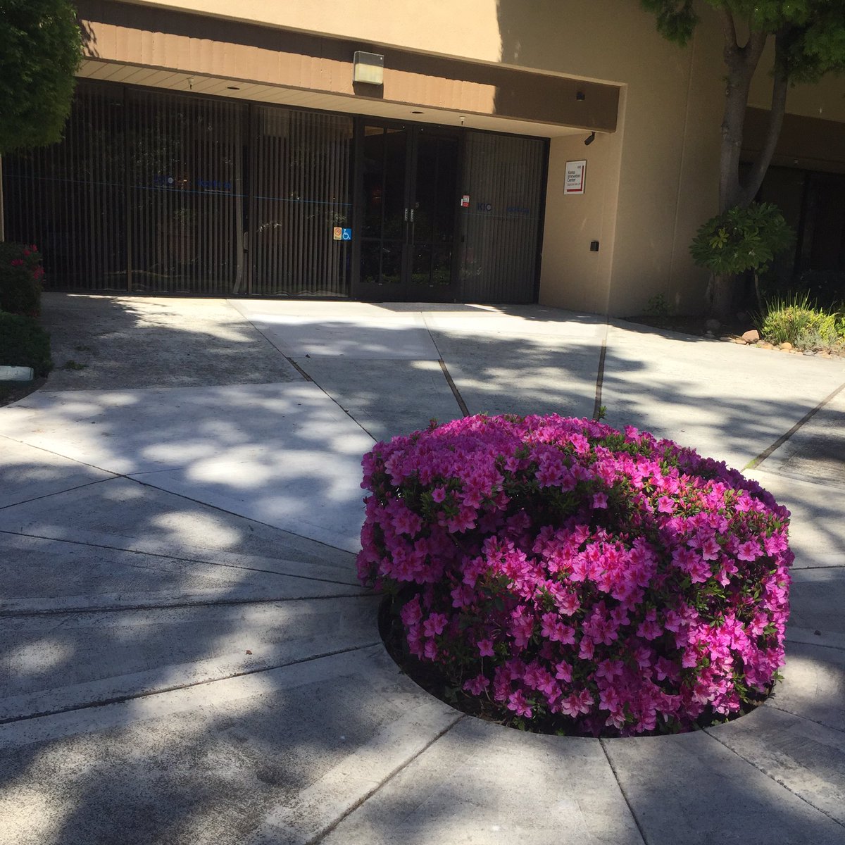 commsforce's tweet photo. #introduced #hi5produce to #KICsiliconvalley #enjoy fresh fruits https://t.co/oS9uz63BWb