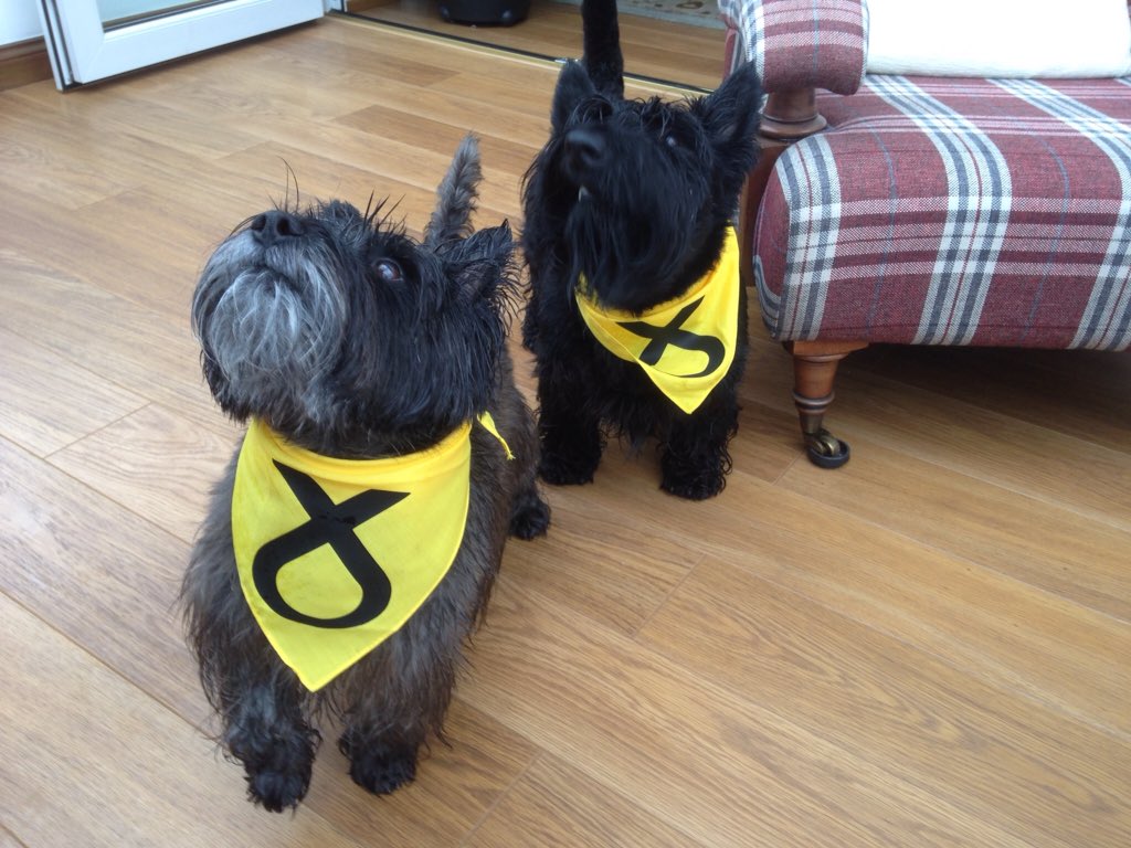 TEACHERNIS's tweet photo. @DalmatianLily @EastwoodSNP @NicolaSturgeon 
Jock and Archie.
#SNPpets #BothVoteSNP https://t.co/8NAD01iWD5