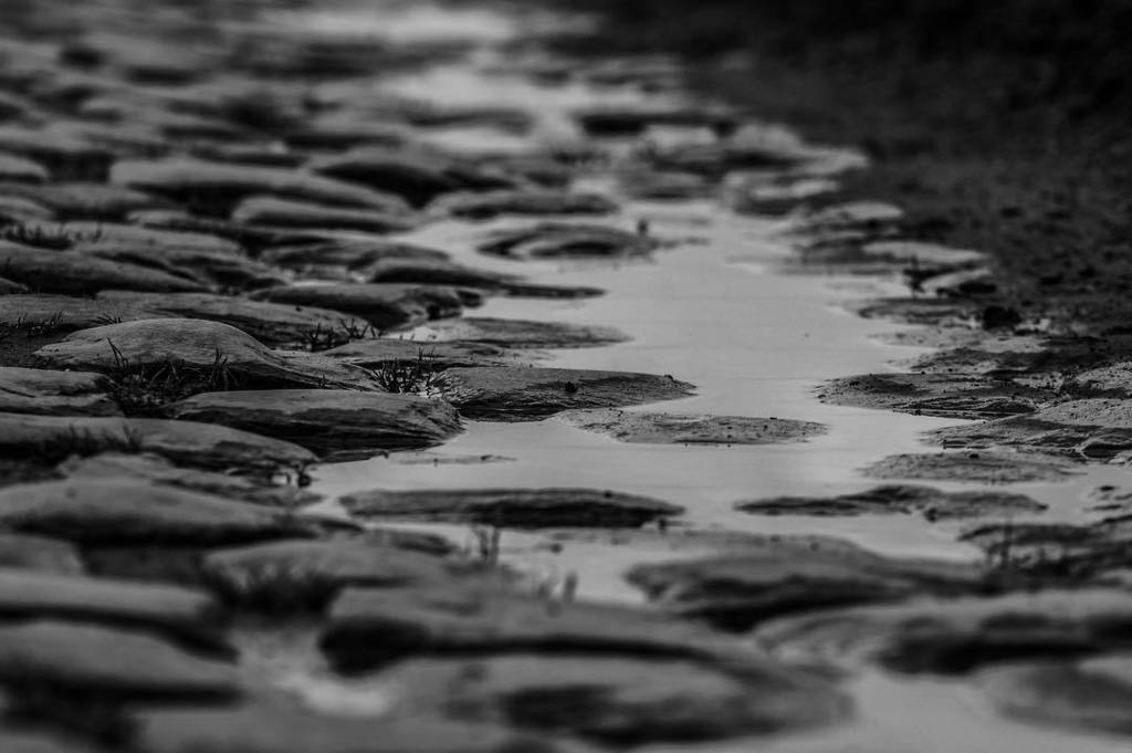 rouleur's tweet image. They say it&apos;s a 40% chance of rain on Sunday. A perfect Paris-Roubaix?
Photo @velopresse #… ift.tt/1SyDlD9