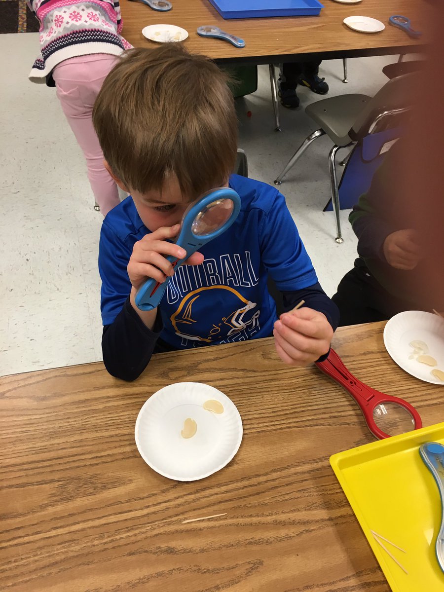 JenniferMitkows's tweet photo. My kindergarten friends are dissecting and investigating seeds to kick off our spring time unit. https://t.co/dWFBjJVtpt