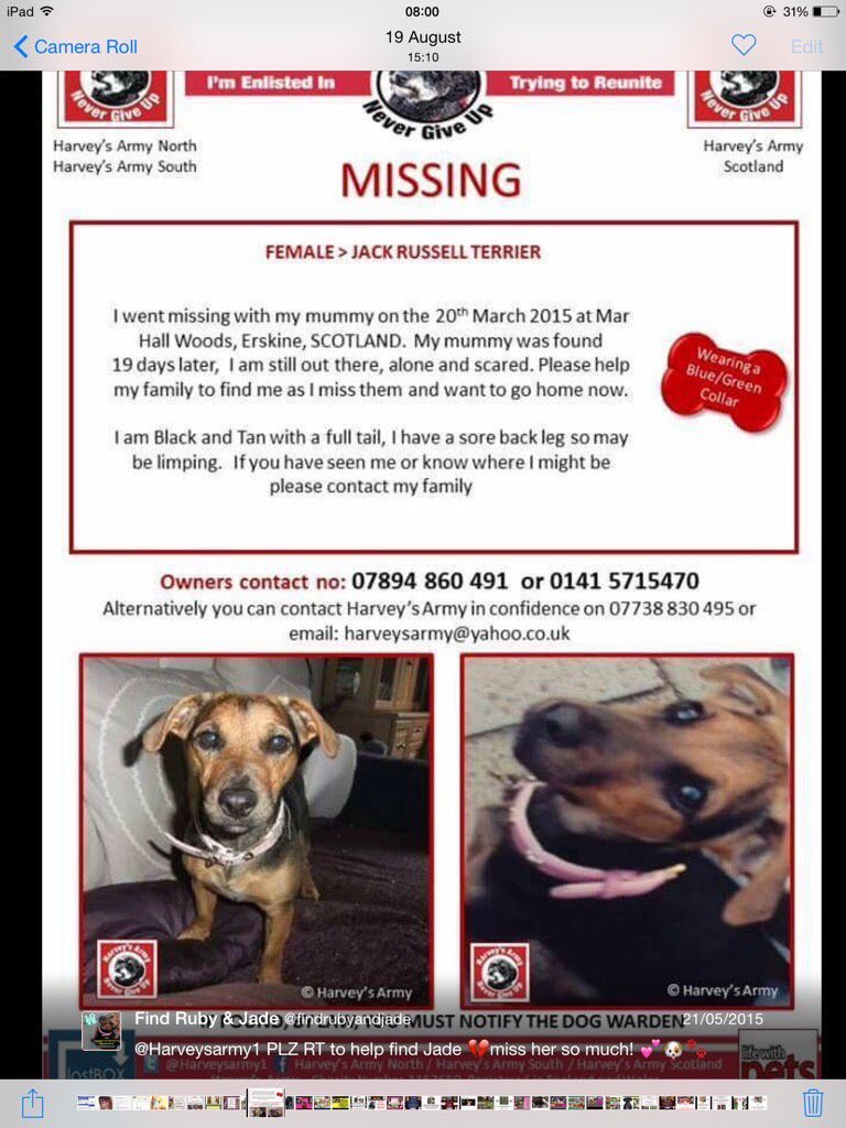 <a href="/findrubyandjade/">Find Ruby & Jade</a> 💕