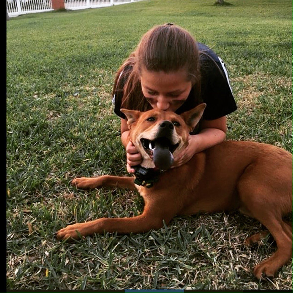 GlobalBestDogs's tweet photo. The bond you will never understand unless you have them in your life 🐾🐶 Tag us or use #WBDOG to enter and feature 😎 https://t.co/onFUvdwqyp
