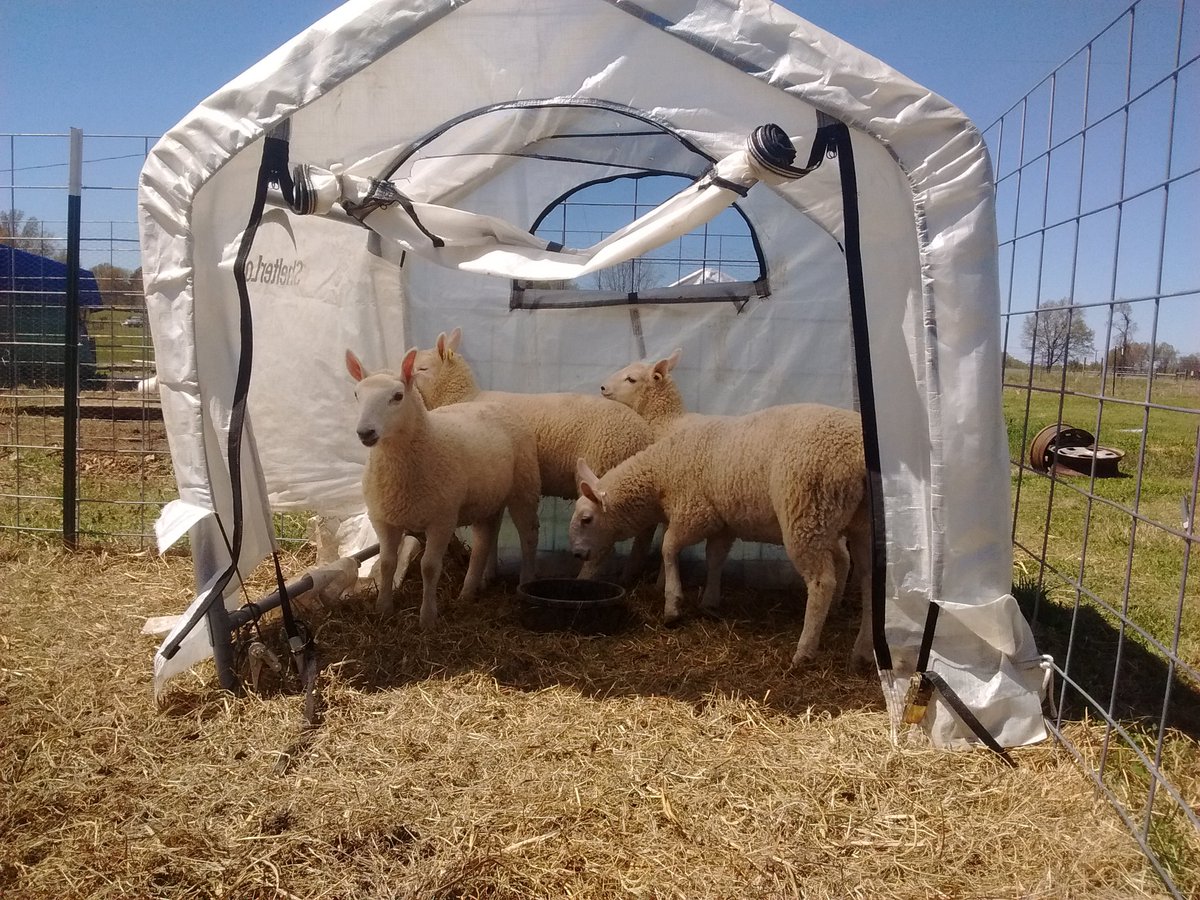 gingerfan98's tweet photo. @dosomething @truthorange #4LeggedFinishers "We have our no smoking area because smoking is BAAAAAAD for us." https://t.co/kJIg4OOgSx