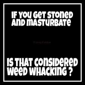 tkafitz09's tweet photo. Serious question time! Is it #WeedWacking?! Lmfao /😂😂😂 cc @xXWeedman1987Xx @LETHAL_KRISPY @Krondog82 @St0nErCrEw https://t.co/zDZEGCnW0X