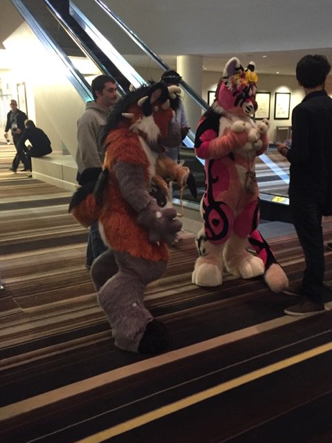 OUPMusic's tweet photo. Two worlds collide: the #SCMS16 media conference and @FurryWeekendAtl this past weekend in Atlanta #FWA2016 https://t.co/kxuhIhGNZe