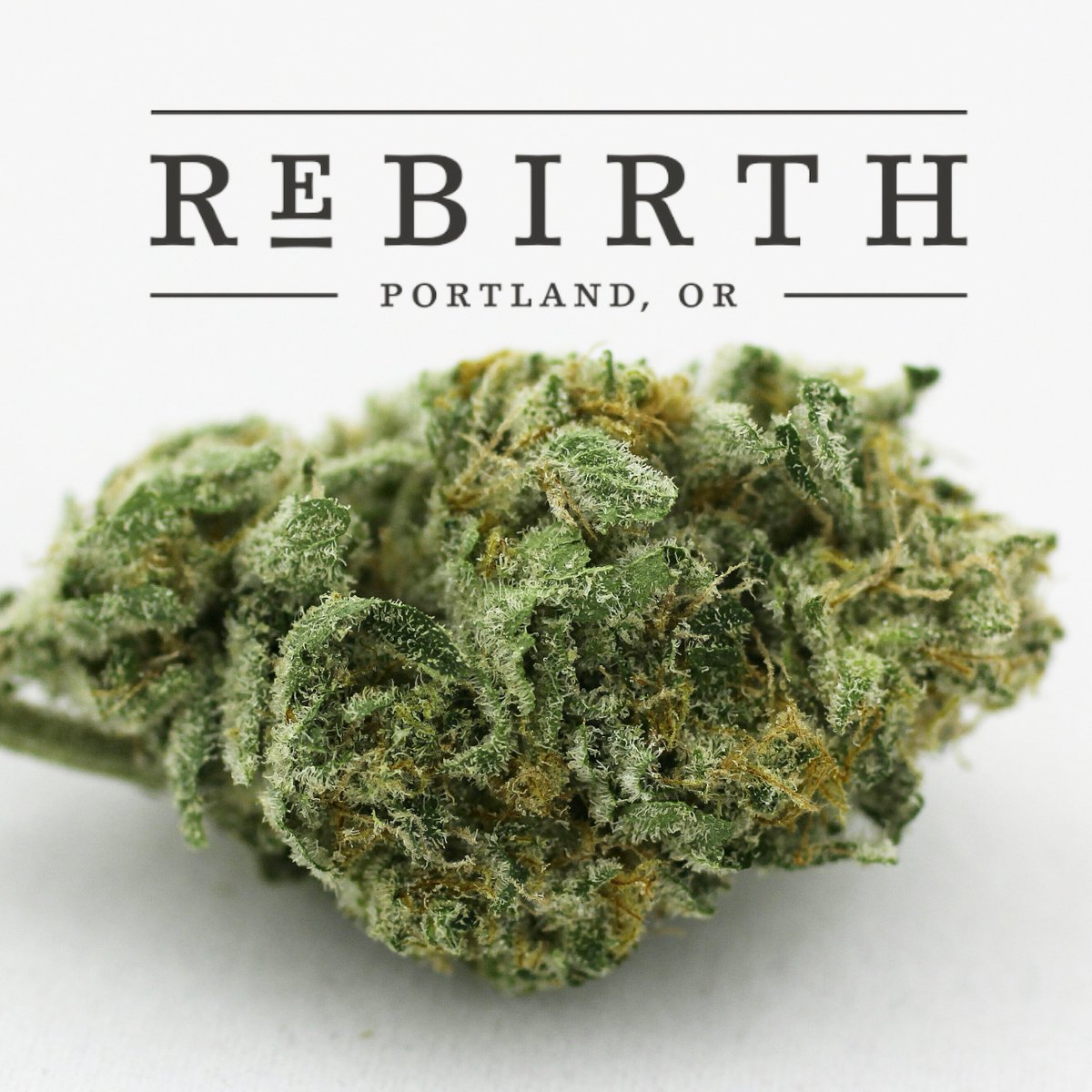 RebirthOregon's tweet photo. #ReBirthOregon #MMJ #Cannabis https://t.co/e64CQahoMH