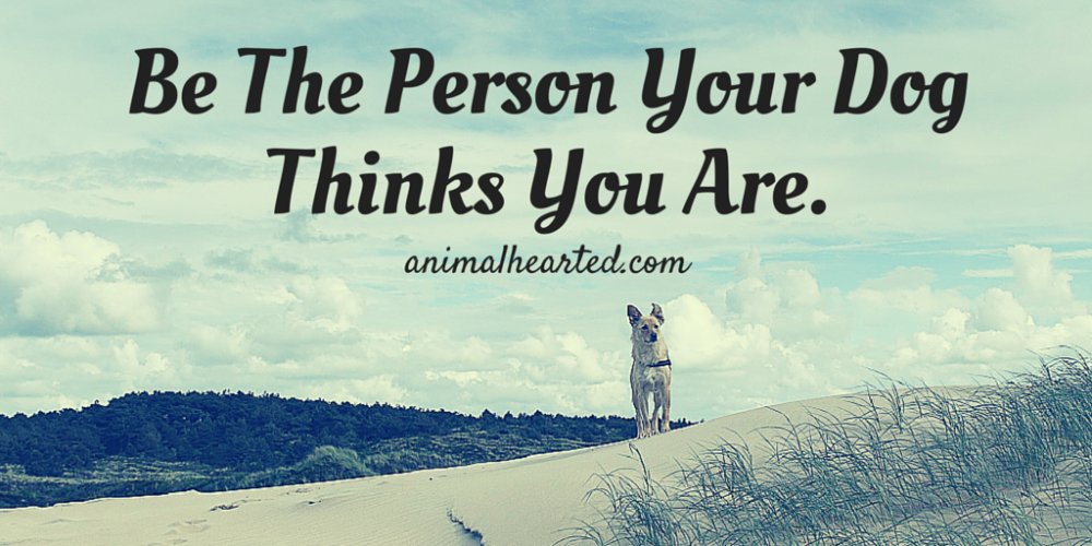 Animal_Hearted's tweet photo. Be the person your dog thinks you are. https://t.co/a2iiDBFw6R