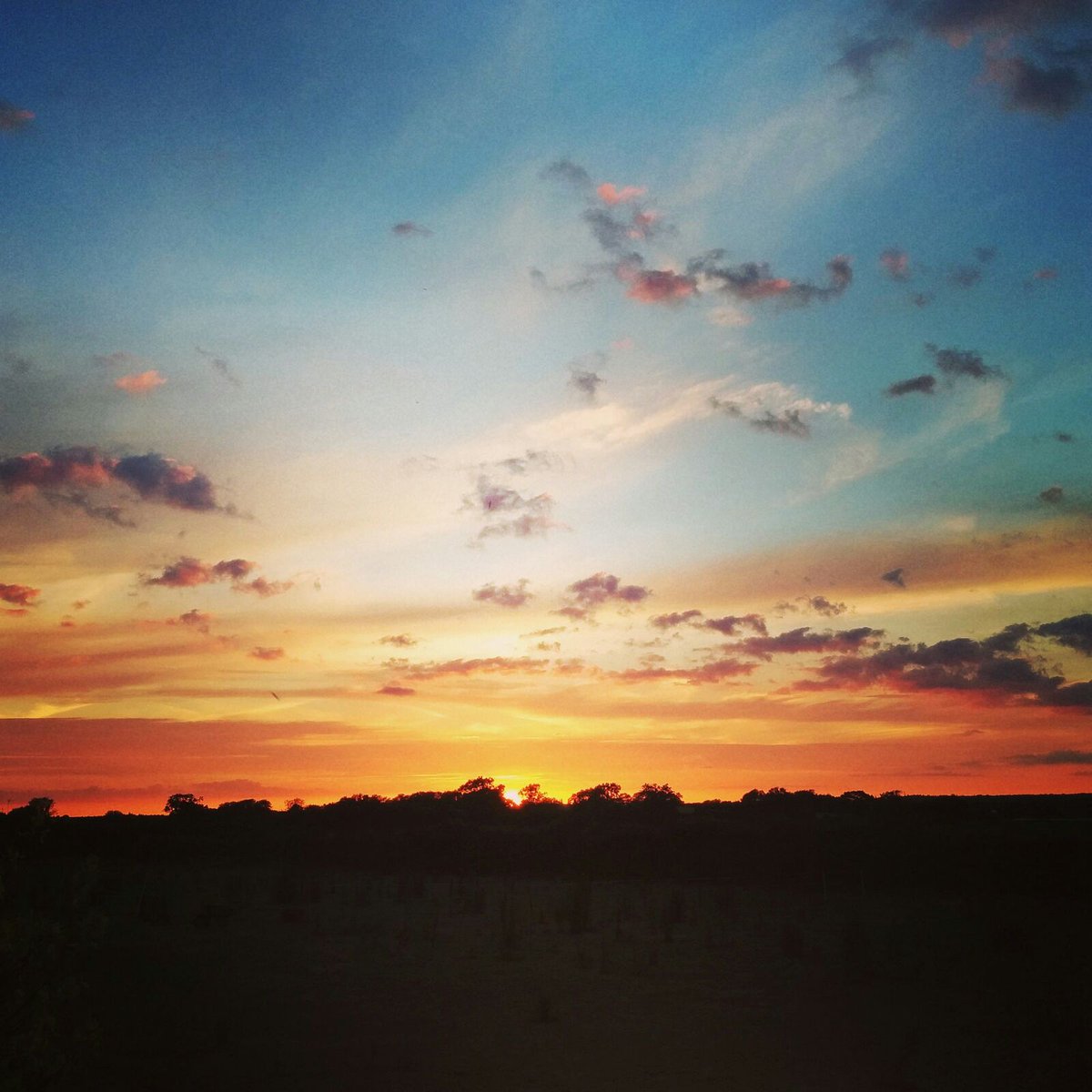 DayDreamGreen's tweet photo. Awesome sunset earlier tonight. https://t.co/UqApQMCu0k