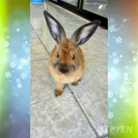 hilaryduff_mjr's tweet photo. #TeExtraño mi bebé precioso
#MiSteven #Mipequeñobebe 😭 https://t.co/YsJ5CUvF0e