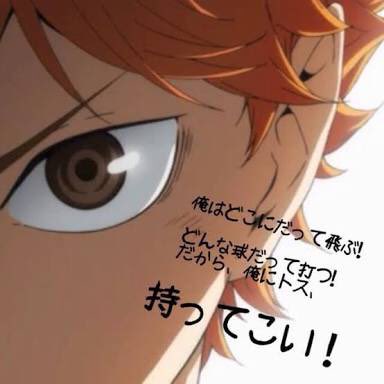 ホワ隊 Ar Twitter ハイキュー 日向 翔陽 好きな人リツイート 全員フォローします T Co Jqtjrro9rb ホワ隊 Ar Twitter ハイキュー 日向 翔陽 好きな人リツイート 全員フォローします T Co Jqtjrro9rb
