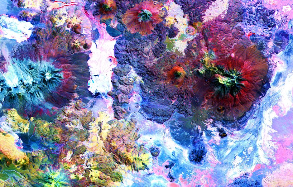 ABC News tweet media