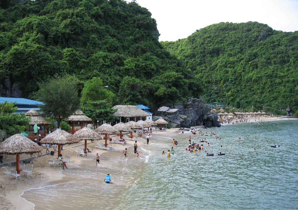 VisionHoliday tweet picture