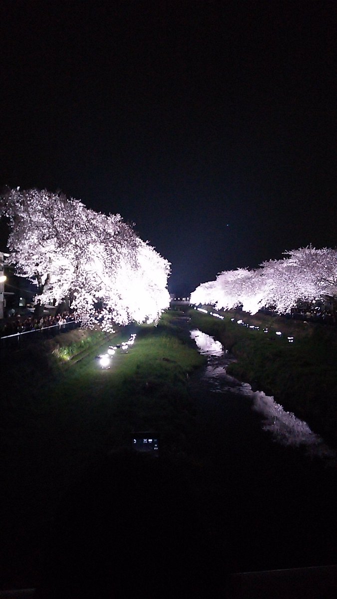 yujitaji's tweet photo. 野川のライトアップ！
1年に1度だけ・・・。 https://t.co/XN3PXslUwM