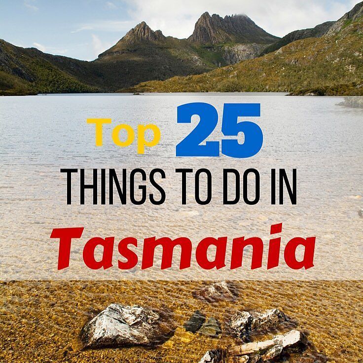 WheresSharon's tweet photo. Read our ultimate bucket list for #Tasmania on the blog: https://t.co/K8fb1TnGpA https://t.co/djFKNrzSja