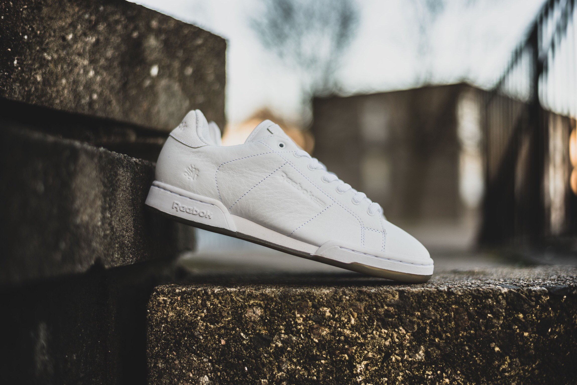 Hanon x top reebok npc ii