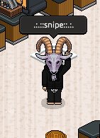 SnipeHabbo's tweet photo. @OfficialHabboUN Official Goat #GOAT #DJSNIPE #HABBO #HABBOUN https://t.co/7zx0lQY0ag
